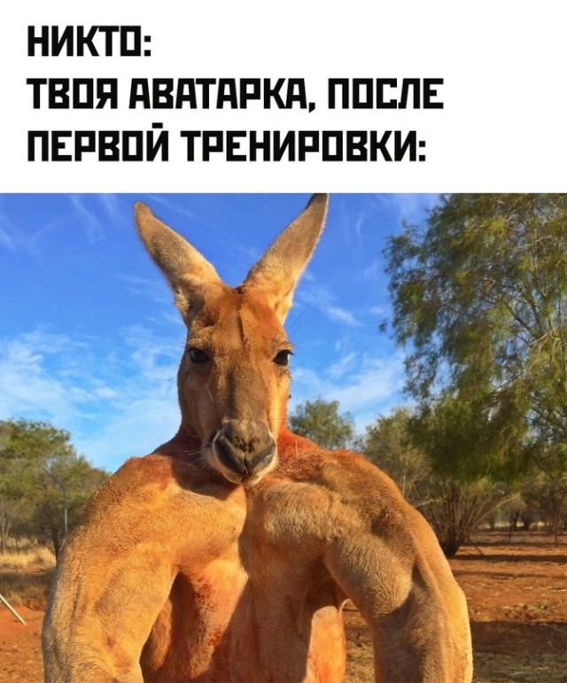 Картинки и мемы для настроения - 119