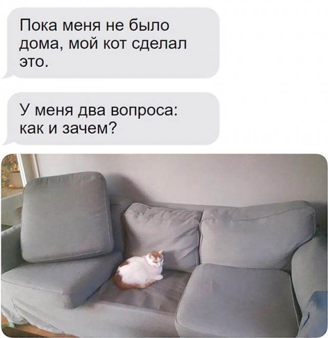 Картинки и мемы для настроения - 125