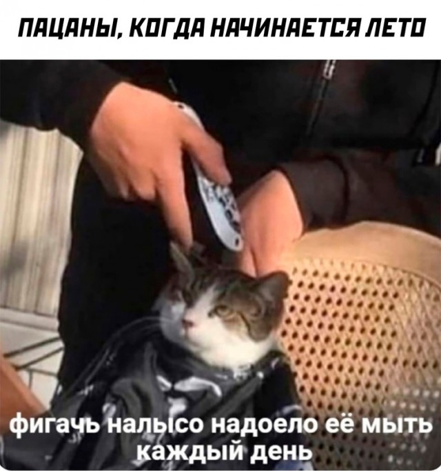 Картинки и мемы, всяко разно - 183