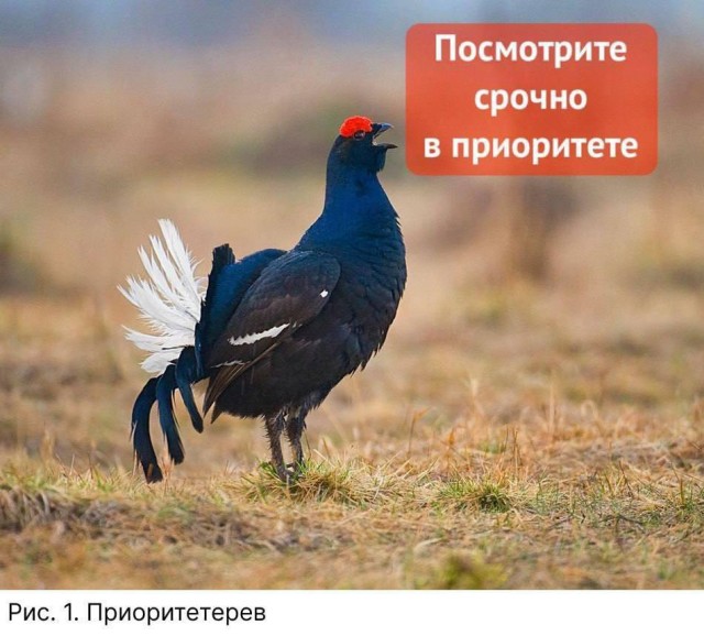 Народная меДИЧина 3027