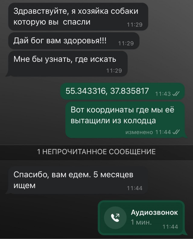 Спасение собакена