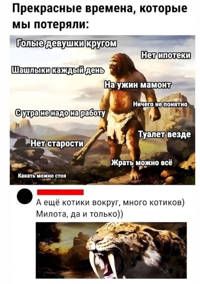 Всего понемногу. От 31.05.2024