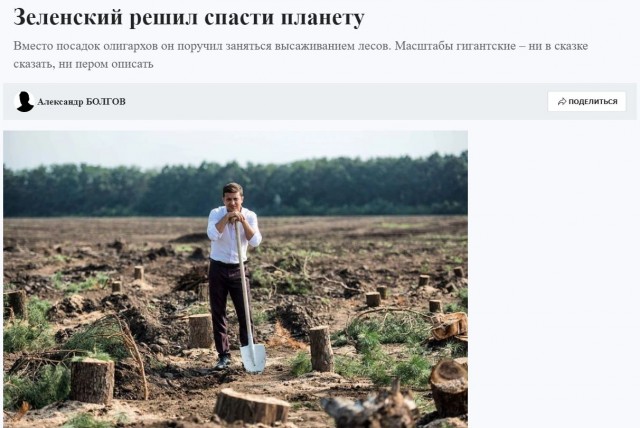 ЛНР: на восстановление лесов после боевых действий понадобится более сотни лет