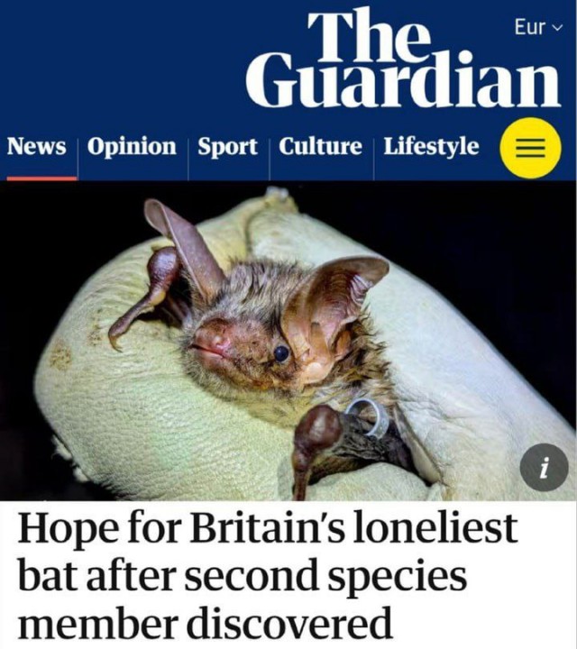 Самое долгое воздержание от интима.