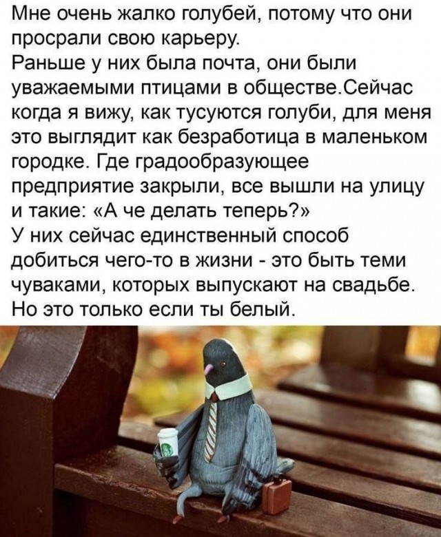 Завалялось тут случайно немного забавных картинок