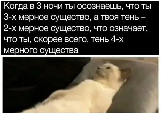 Жизнь после…