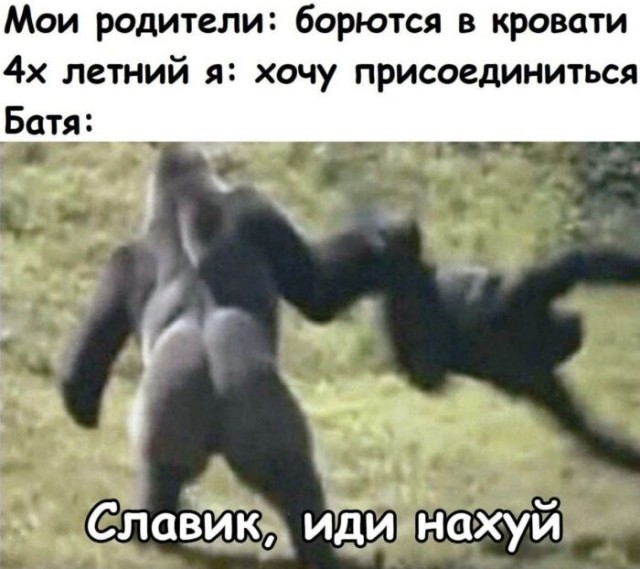 Весёлый полтишок 06.06.25