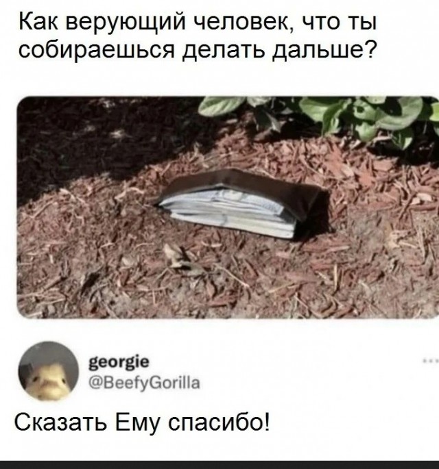 Завалялось тут случайно немного забавных картинок