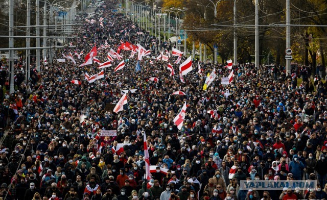 В Беларуси массово задерживают людей, попавших в кадры польского документального фильма о протестах 2020 года.