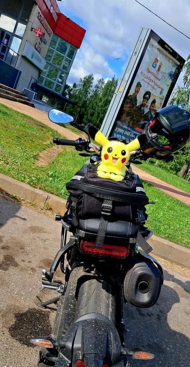 «У каждого Пикачу есть право на счастье. Жаль, что кто-то решил, что его счастье — это моя игрушка»