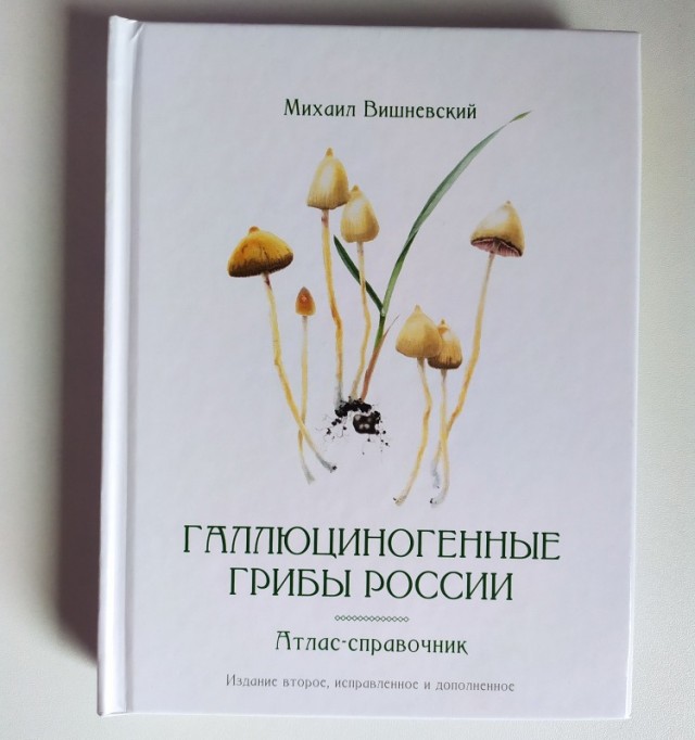 Может уже пора расчехлять Брюса ?