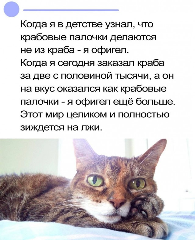 Так себе картинки 14.11.25