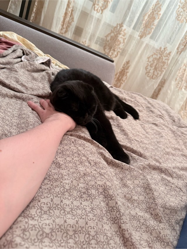 Кто ответственный за Котовторники?