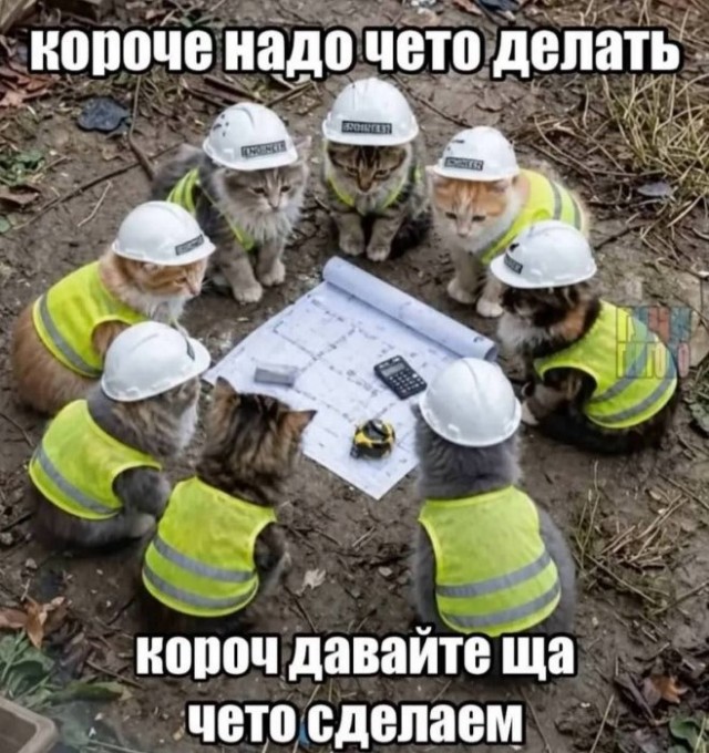 Картиночки, баянчики 26 июня