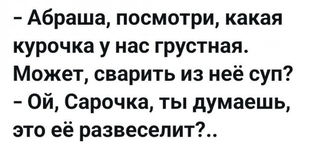 Пристраиваю котэ. Альтернатива - усыпление.