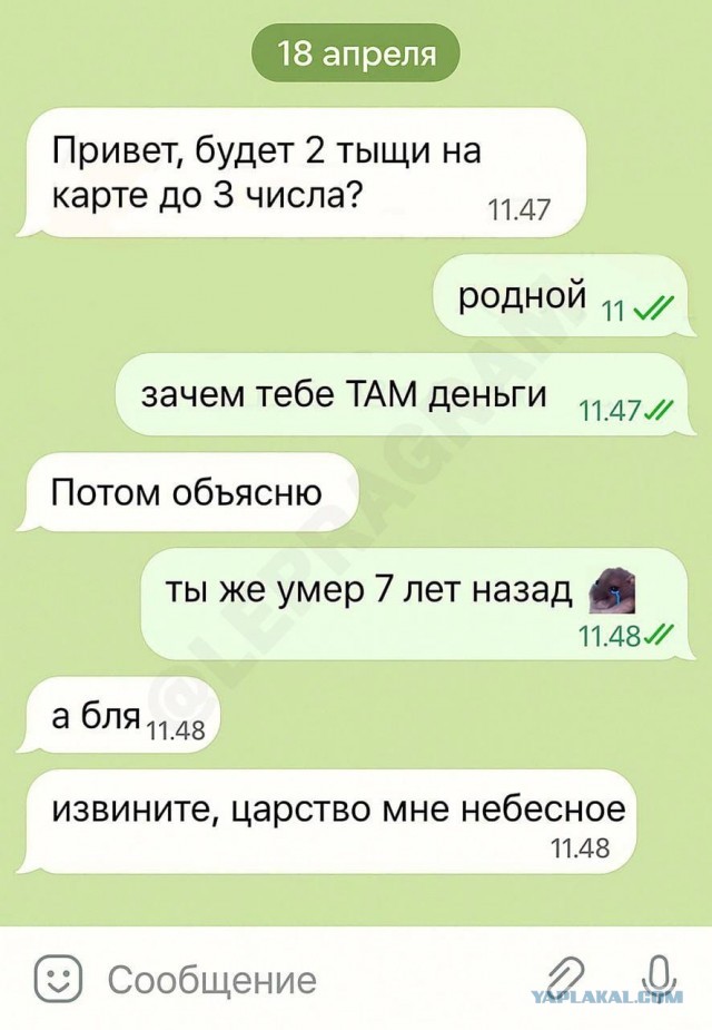 21135878.jpg
