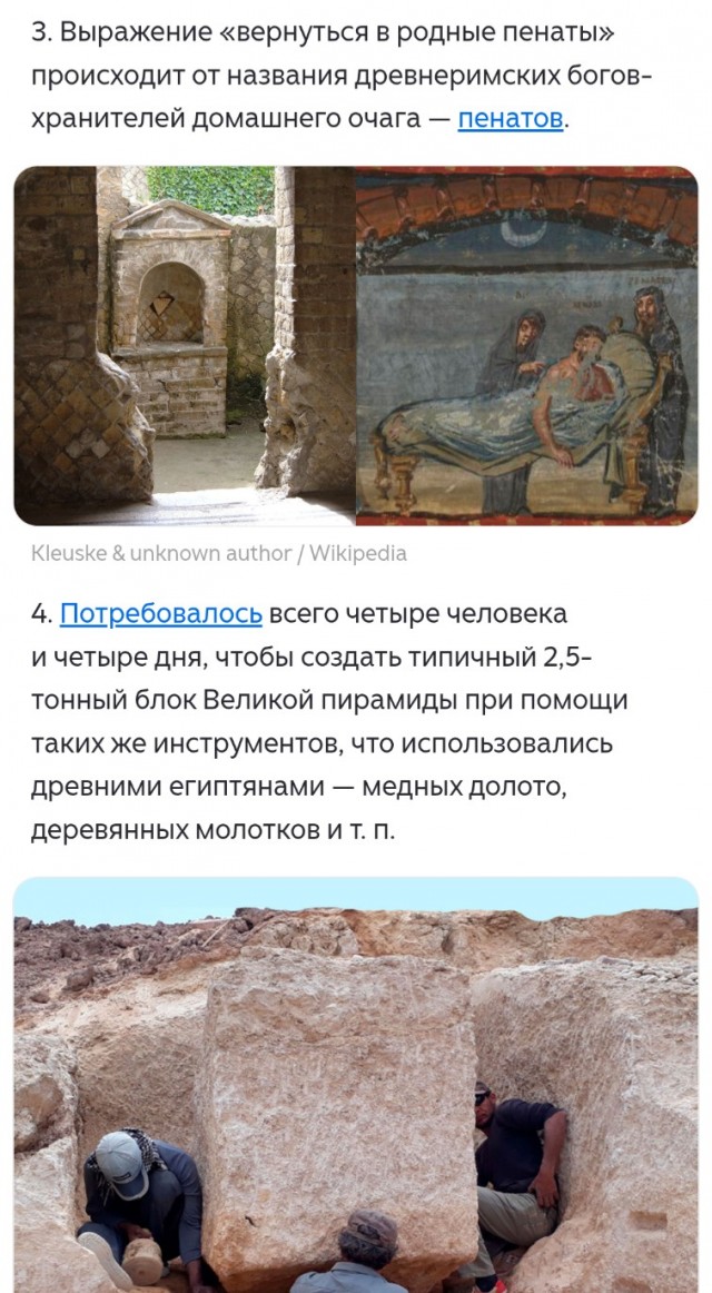 Познавательные картинки 3