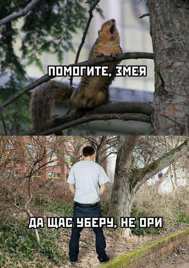 Веселые картинки в последний день лета (31.08)