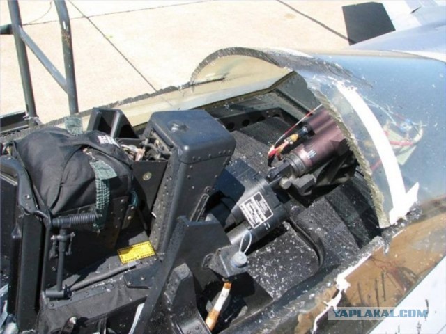 Кто же король неба? F-35 или T-50?