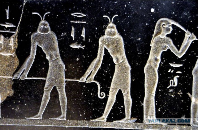 Тайны Великой Пирамиды