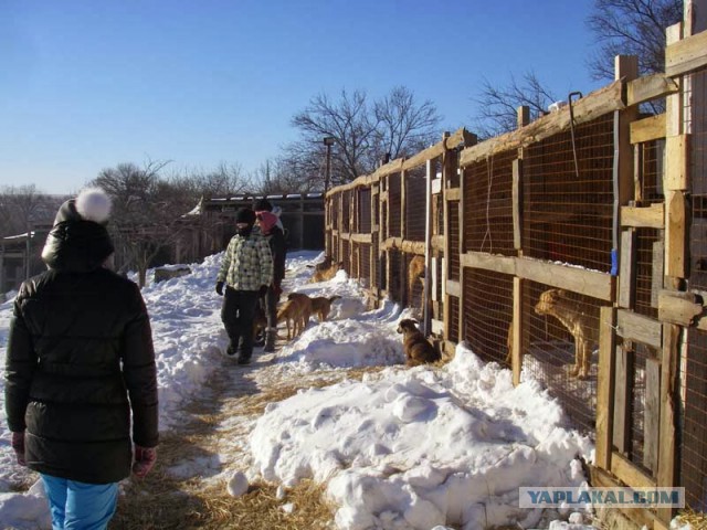 Мир не без добрых людей!