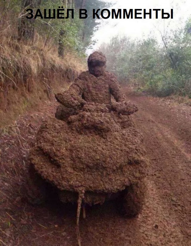 Картинки