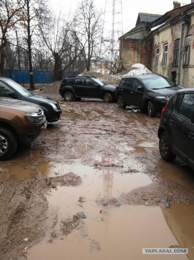 У них климат другой!