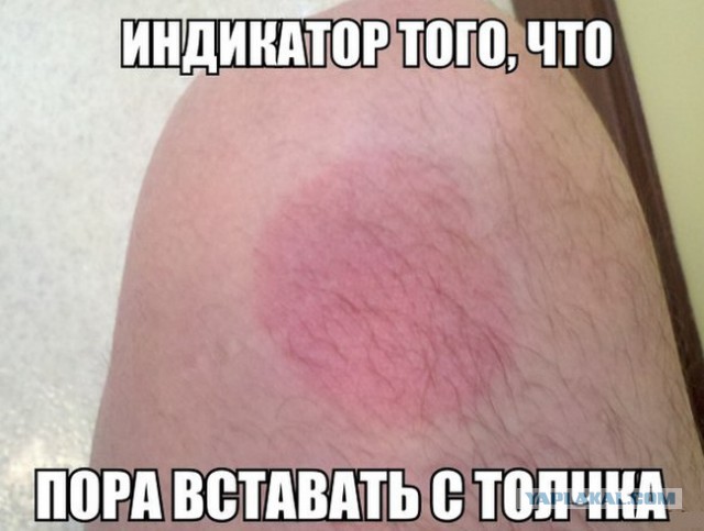 Картинки из сети