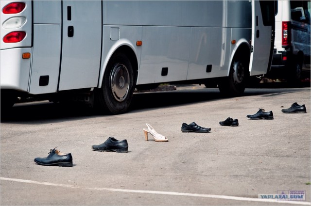 Центр кинологической службы Упр-ния на транспорте