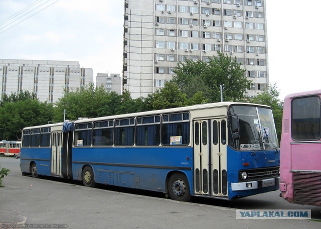 Игра на ЯПе: Угадай АВТО-9