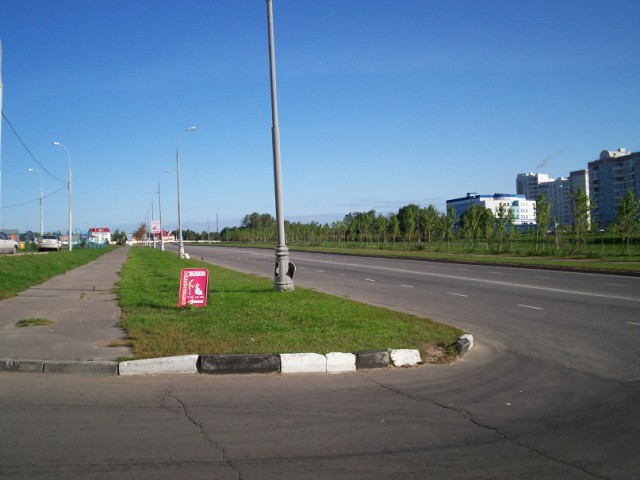 Дневник московского гастарбайтера