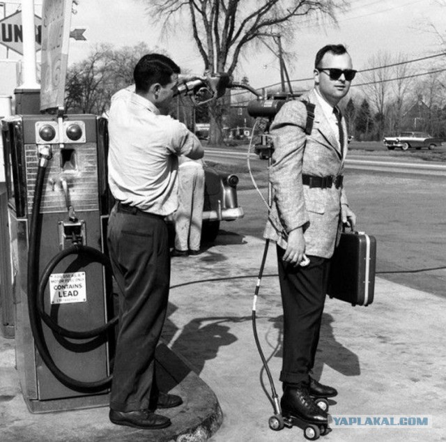 Картинки из сети, подборка