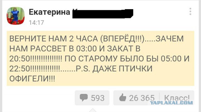 Смешные комментарии из социальных сетей 17.06.2016