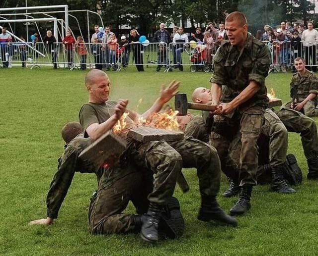 Порция картинок из сети.