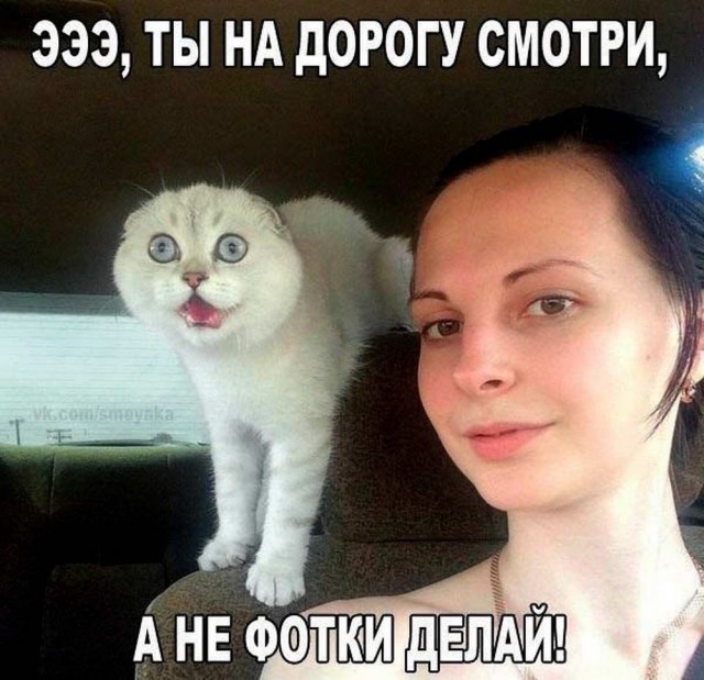 Подборка интересных и веселых картинок