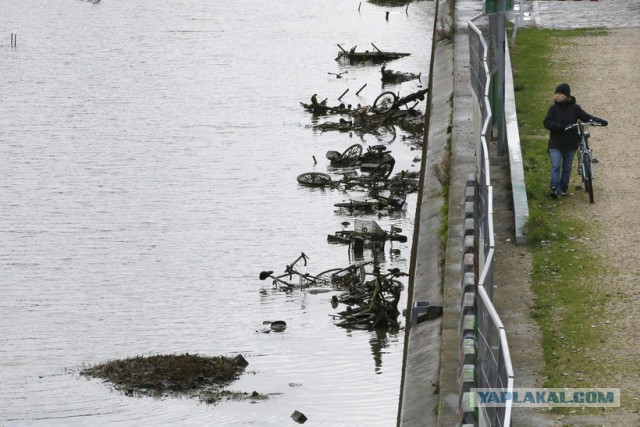 Река Пивоварка в г. Барнаул