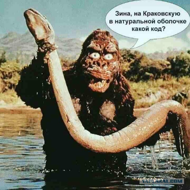 Да вы тут все наркоманы