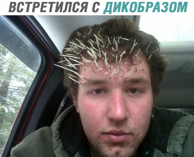 Немного картинок на сегодня