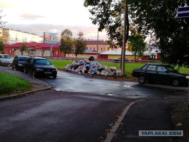 Челябинск завален мусором