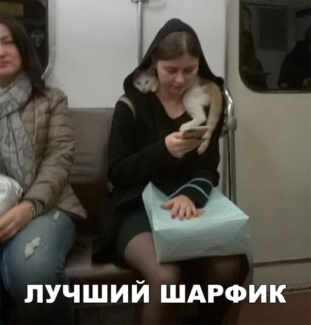 Нестандартный юмор