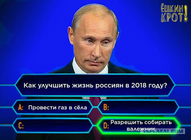 Омичам объяснили, как собрать валежник в лесу и не попасть в тюрьму