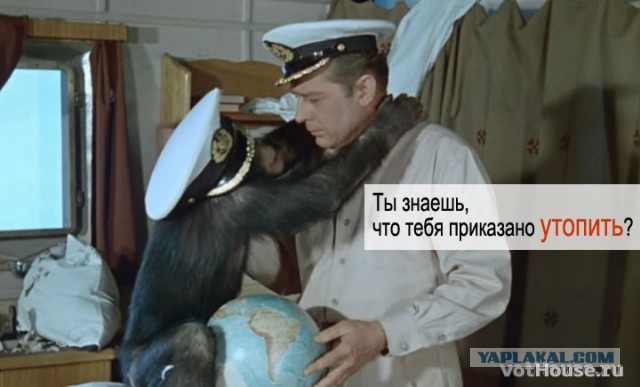 Мусичка