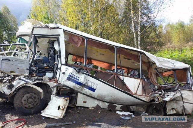 В Ярославской области семь человек погибли в ДТП с автобусом