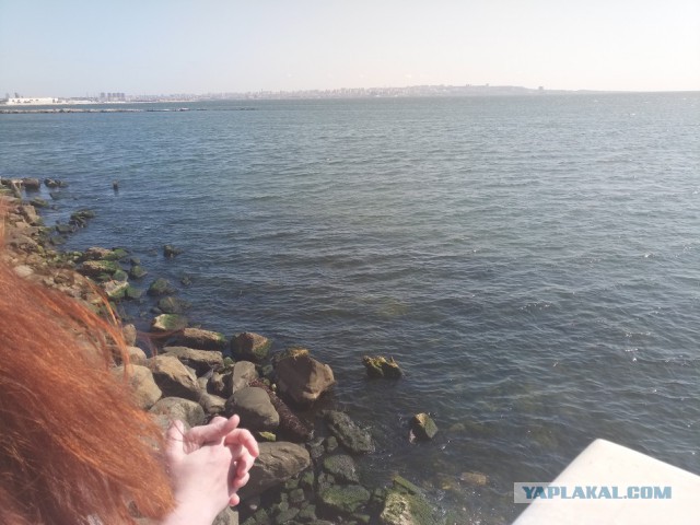 Поездка в Баку