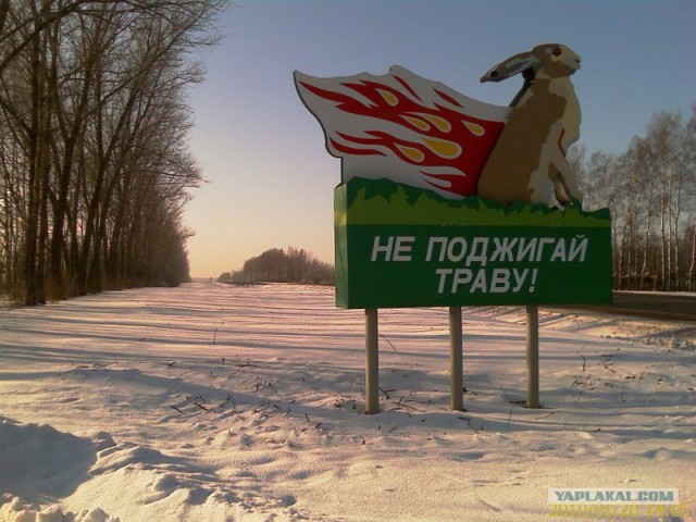 Не поджигай траву