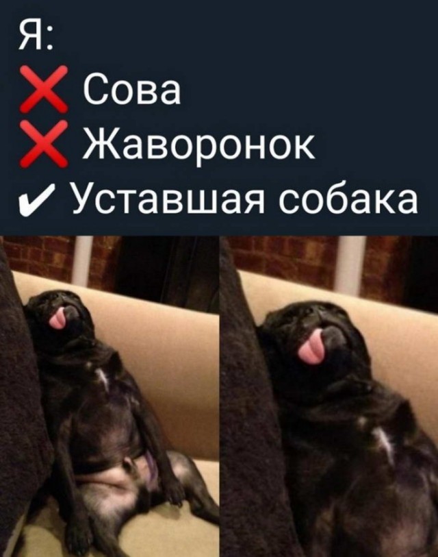 Бредзона