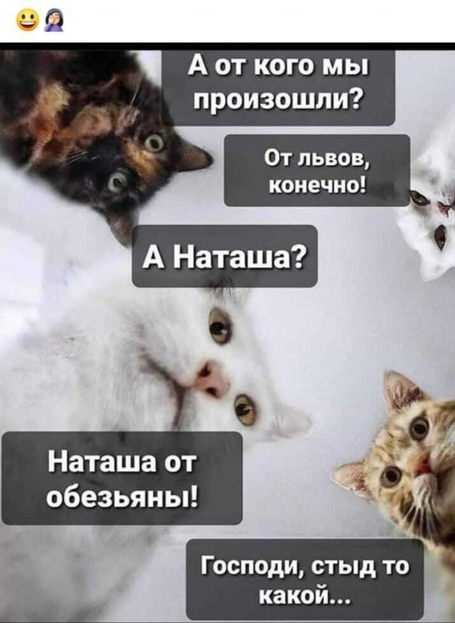 Бредзона 13.07.20