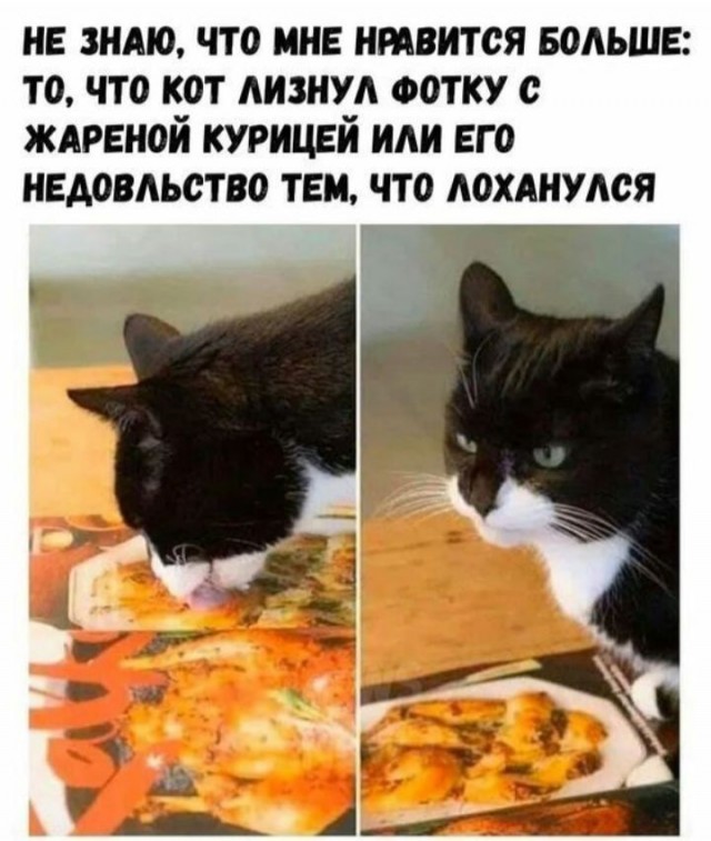 Подборка старых мемов и баянов