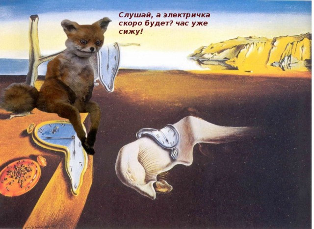 Таксидермия + наркомания