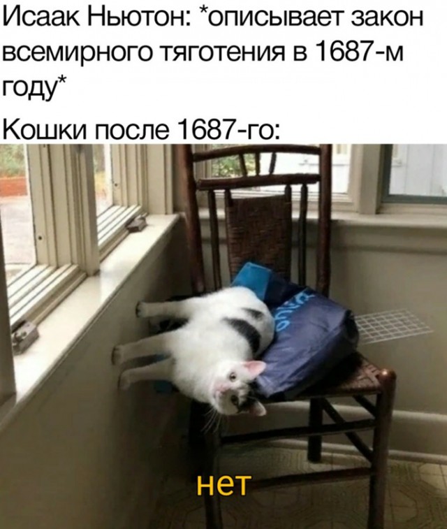 Картинки и мемы для настроения 009